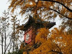 -四川大学(华西校区)