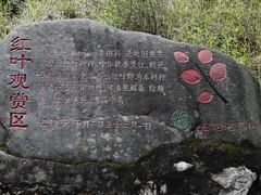 -郧西五龙河风景区