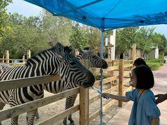 -水上乐园·欢乐世界