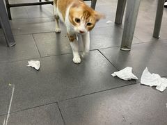 -凤城康记饭店