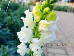 -雀儿山公园