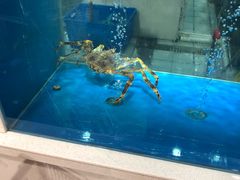 -BHG Market Place(水游城店)