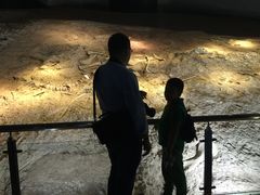 -世界恐龙谷景区