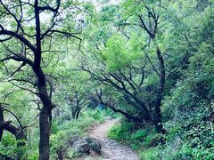 -阳台山自然风景区