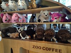-ZOO COFFEE动物园咖啡(望京锐创店)