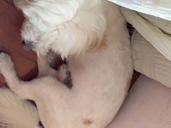 -畜牧兽医站(共江路店)