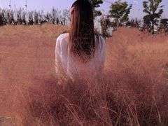 -映月湖中央公园