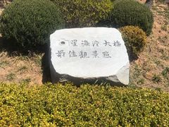 -星海湾跨海大桥