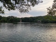 -紫霞湖公园