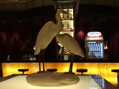 -厦门悦华酒店