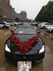 -蚂蚁婚车