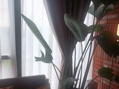 -泰合玺·精油疗愈SPA(狮山天街生活广场店)