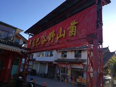 -东巴谷野生菌火锅餐厅