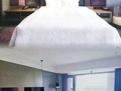 -南京禄口机场雅高铂尔曼大酒店