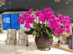 -张一元茶庄(望京店)