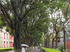 -厦门大学(思明校区)
