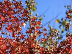 -周口店坡峰岭风景区