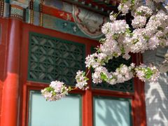 -海棠花溪(元大都城垣遗址公园)