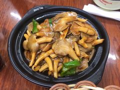 双菇面筋煲-胡子饮食店
