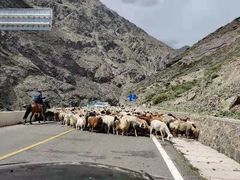 -天山神秘大峡谷