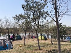 -东郊湿地公园