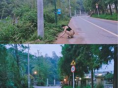 -中铁花水湾温泉酒店(大邑店)