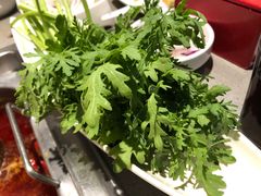 皇帝菜-海底捞火锅(油麻地店)