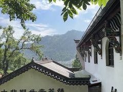 -九华山风景区