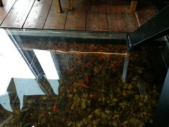 景观位-颐和•海鲜砂锅粥•啫啫煲(奥林匹克广场店)