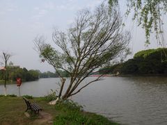 -江心屿景区
