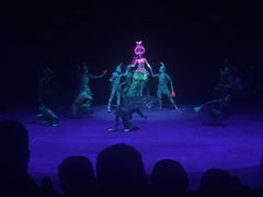 -珠海横琴长隆《卡卡虎奇遇记》