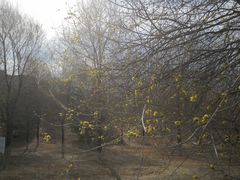 -永定河休闲森林公园