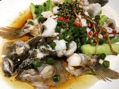 -猪肉婆私房菜(容桂总店)