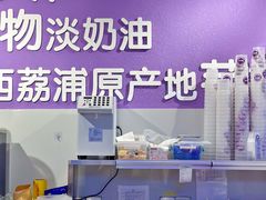 -喜乐村芋泥脑袋家族(三里屯店)