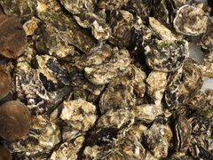 -圣罗巴海鲜烤肉自助(鲅鱼圈万达店)