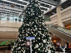 -广州白云机场雅高铂尔曼大酒店