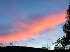 -长虫山生态公园风景林