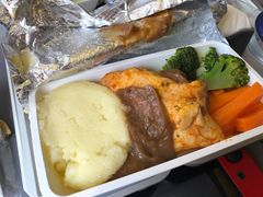 -新加坡航空公司(ION)