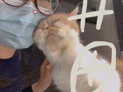 -怪兽屋·羊驼·猫咖·狗咖(俊华广场店)