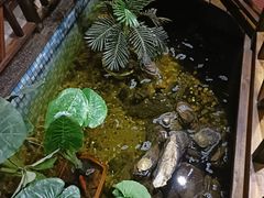 -大宝全猪馆(南京路店)