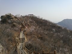 -大岭沟猕猴桃谷风景区