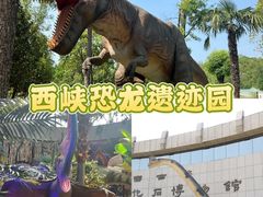 -中国西峡恐龙遗迹园