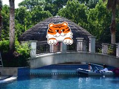 -绿城千岛湖喜来登度假酒店