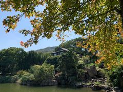 -白马涧龙池景区