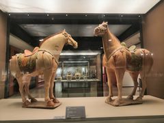 -西安大唐西市博物馆