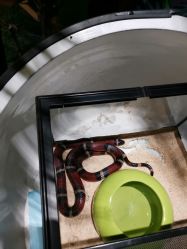 -酷嗒动物文化乐园(cutezoo西溪乐天城店)