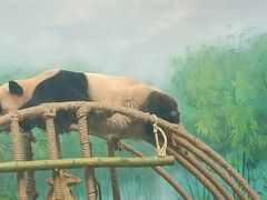 -杭州动物园