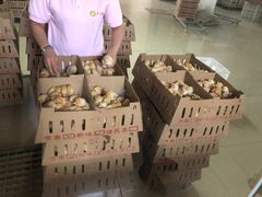 -兴芮温泉度假区