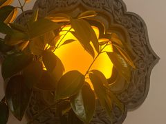 -北京古城老院厉晓麟精致菜