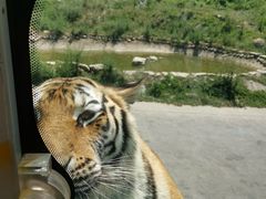 -西安秦岭野生动物园